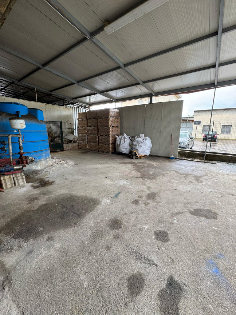 AuroraColor Sant Angelo a Lecore 2